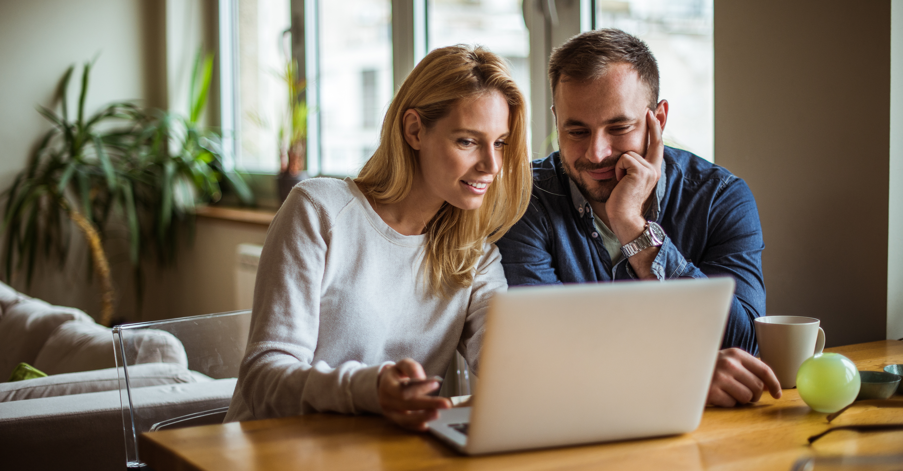 Guides - accept an offer - Pittis