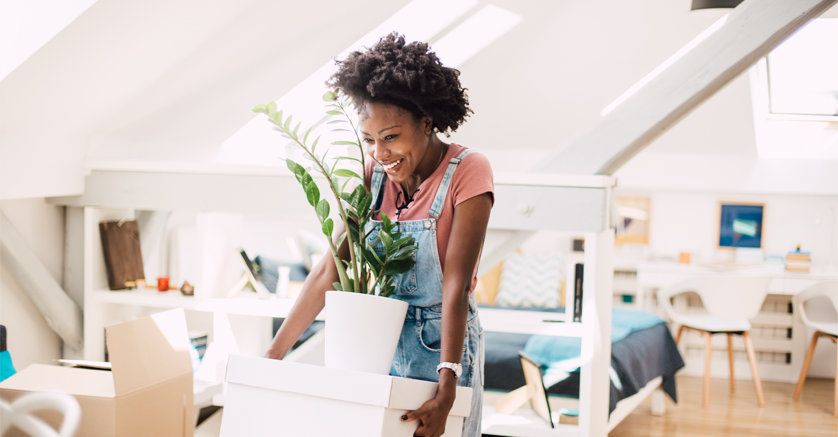 Guides - steps to sale - Pittis